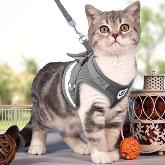Cat harness with leash - AdventureKit-Gray-S-Nora Luxe