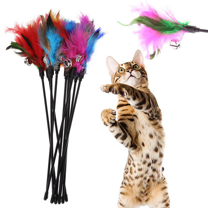 Colorful Feather Teaser Cat Toy Set - Pexav