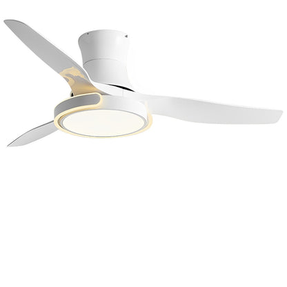 Stylish Remote Control Ceiling Fan with Light