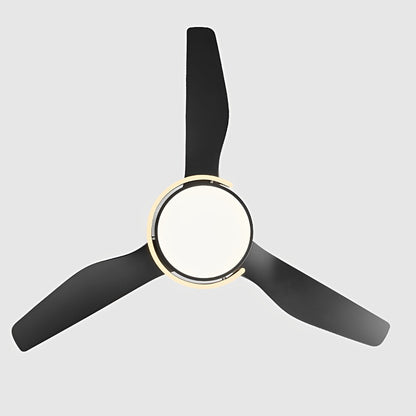 Stylish Remote Control Ceiling Fan with Light