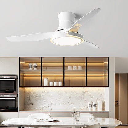 Stylish Remote Control Ceiling Fan with Light