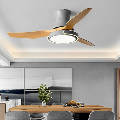 Stylish Remote Control Ceiling Fan with Light