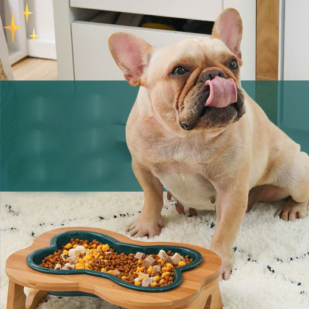 Ceramic Dog Food Bowl with Wooden Stand - BoneFeast-Green-Nora Luxe