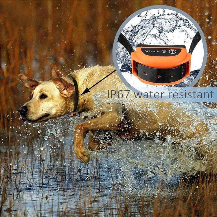 Easy Pet Containment System With Remote Collar