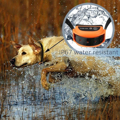 Easy Pet Containment System With Remote Collar