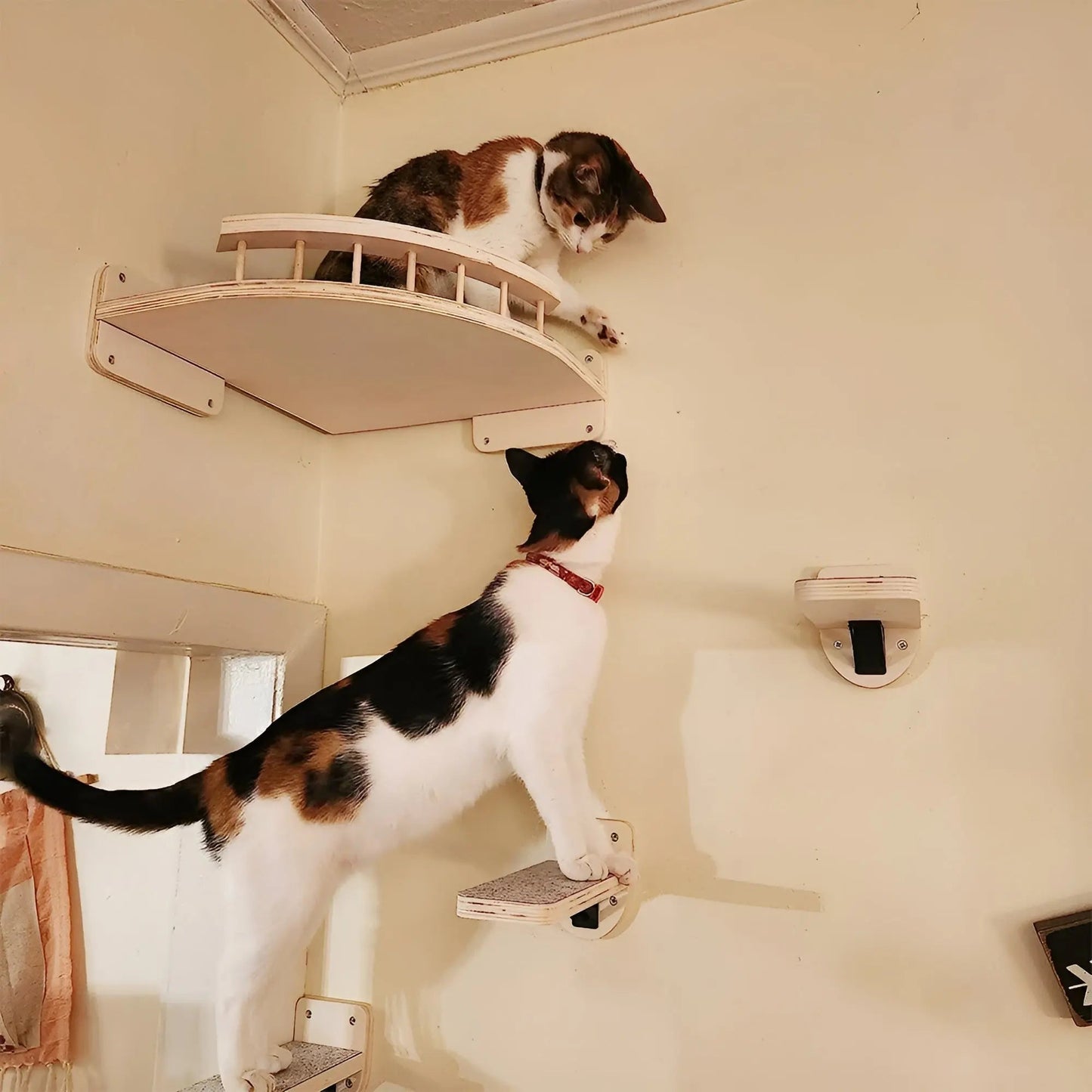 Climbing Wall Shelf for Cats with Scratching Post - ClimbPaws-First Step-Nora Luxe