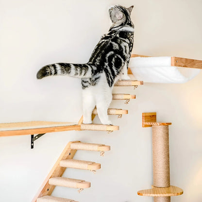 Climbing Wall Shelf for Cats with Scratching Post - ClimbPaws-First Step-Nora Luxe
