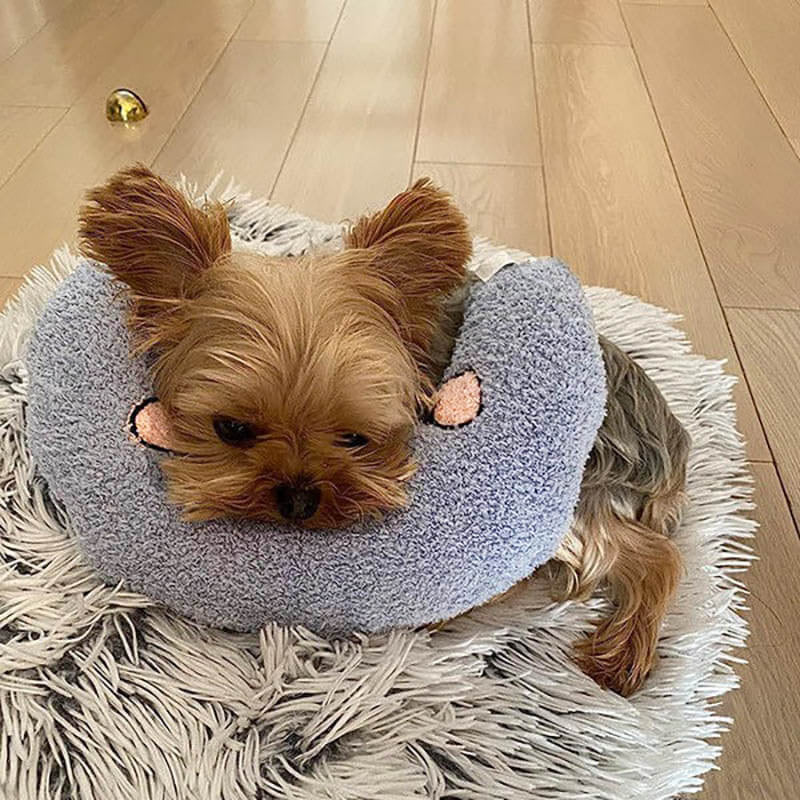 Comfortable Cushion for Dogs - CalmNest-Blue-Nora Luxe