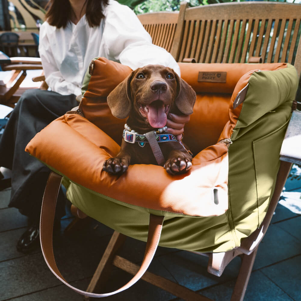 Comfortable Dog Car Seat - PawLuxury-Orange Green-Nora Luxe