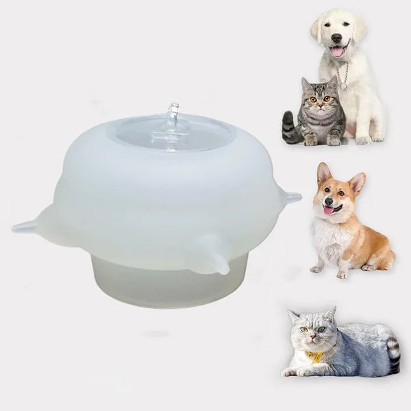 Small Pet Food Bowl for Cats - KittySip - Pexav