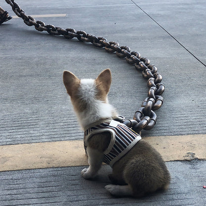 Cool and Funny Dog Leash - PawChic-Bronze-4.92 ft-Nora Luxe