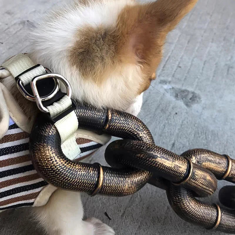 Cool and Funny Dog Leash - PawChic-Bronze-4.92 ft-Nora Luxe