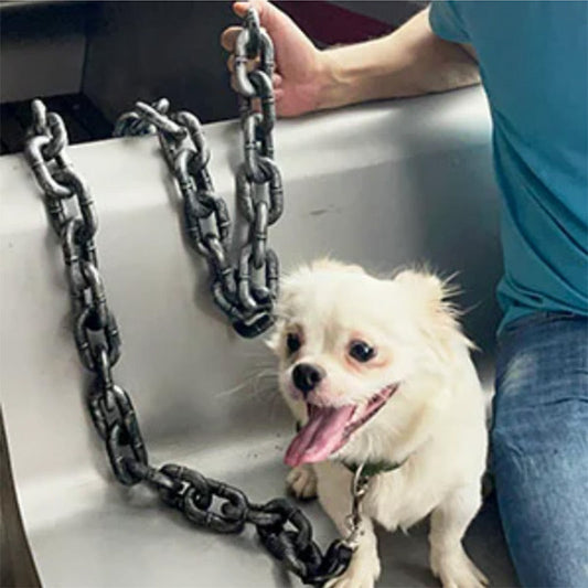 Fun Pet Puppy Leash - Pexav