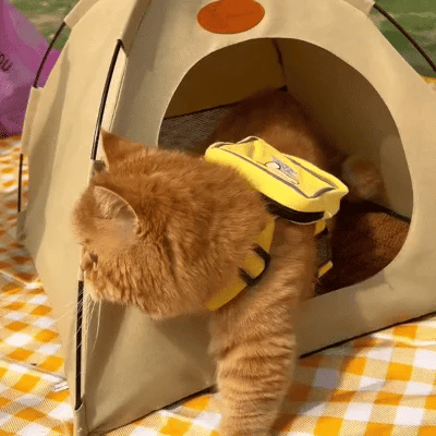 Cooling Cat Tent - CoolCat Retreat-Beige-Nora Luxe