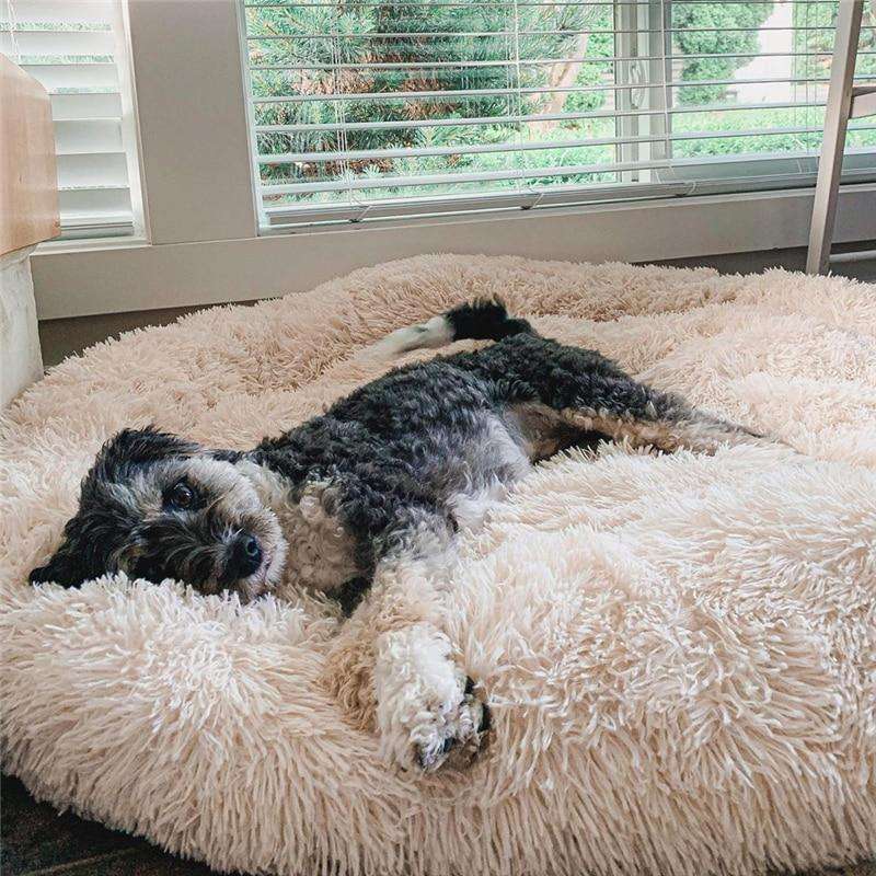 Comfortable Pet Relaxation Pillow - Pexav