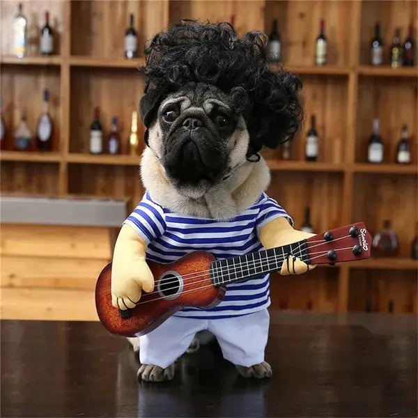 Cute Funny Pet Halloween Costume