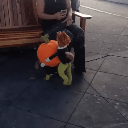 Cute Funny Pet Halloween Costume