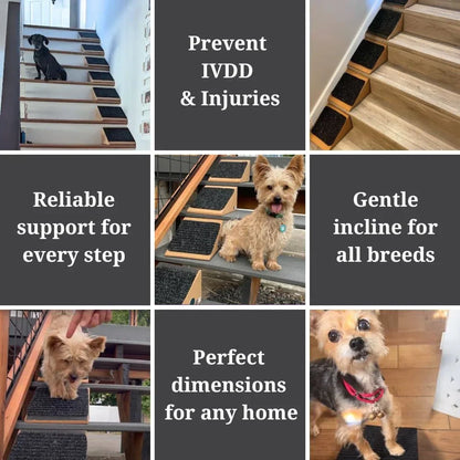 Easy Pet Stair Ramp | Portable & Durable Design