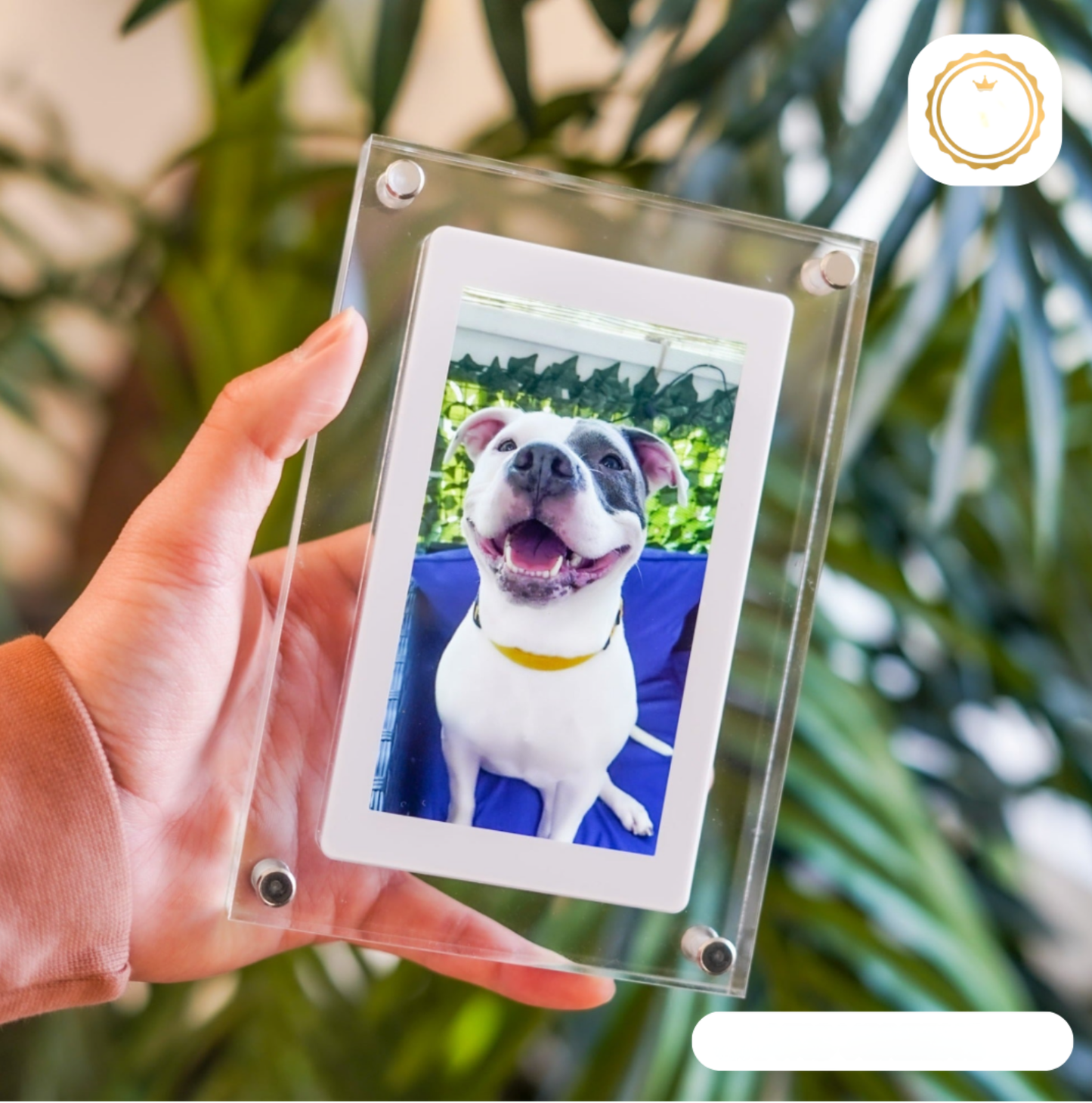 Slim Electronic Picture Frame - Pexav