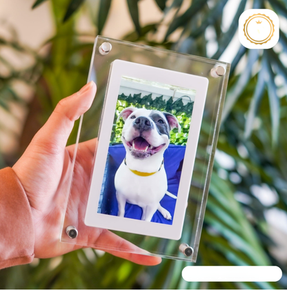 Slim Electronic Picture Frame - Pexav