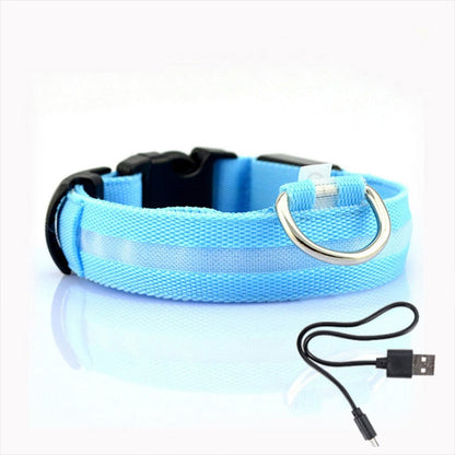Dog collar with LED lighting - GlowCollar-Blue-XS-Nora Luxe
