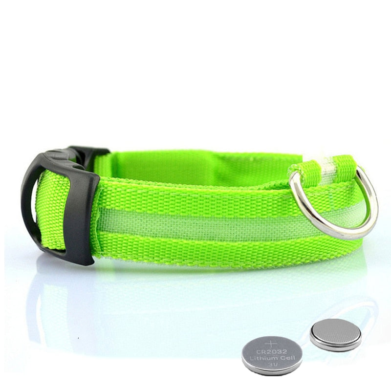 Dog collar with LED lighting - GlowCollar-Green-XS-Nora Luxe