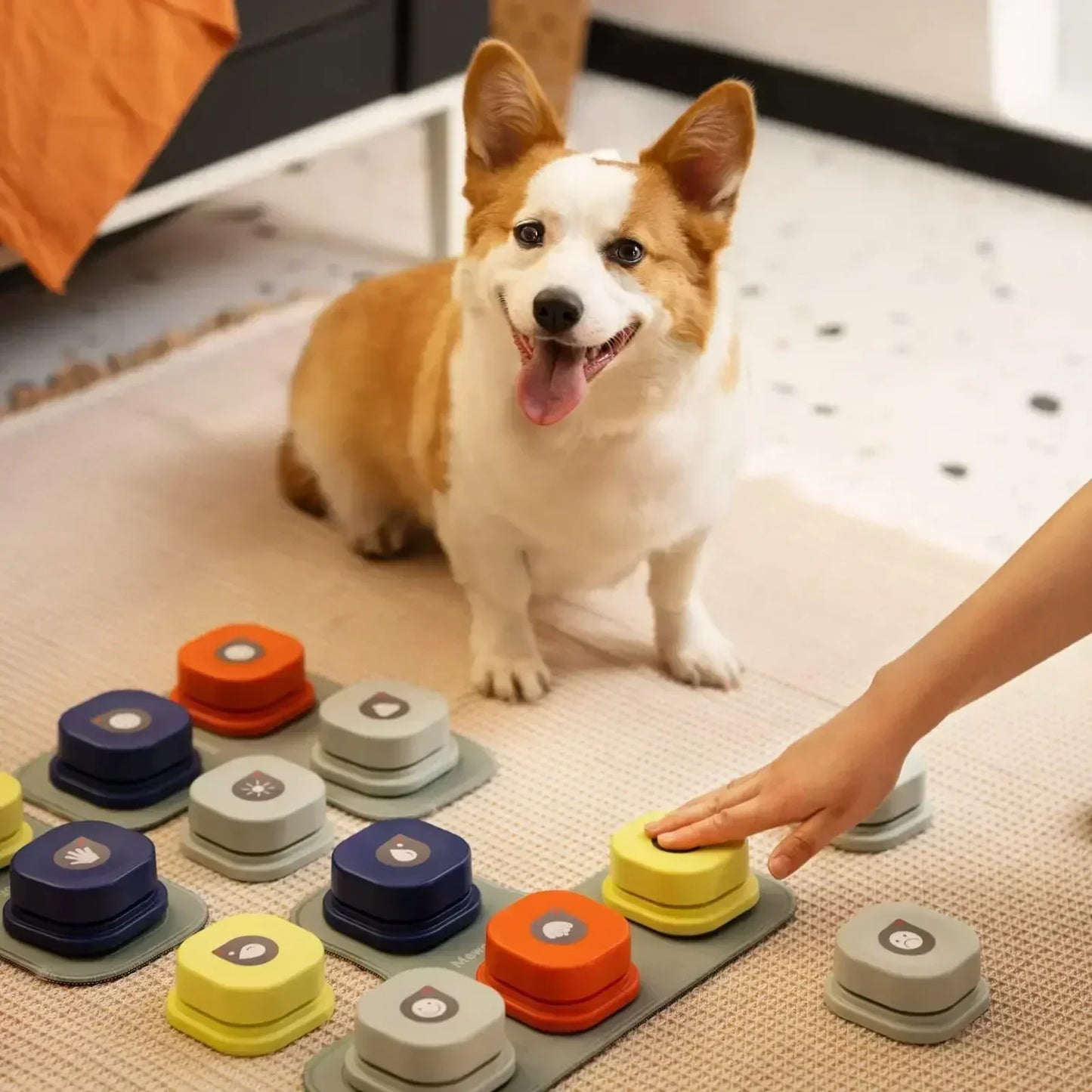 Fun Pet Training Button Kit - Pexav