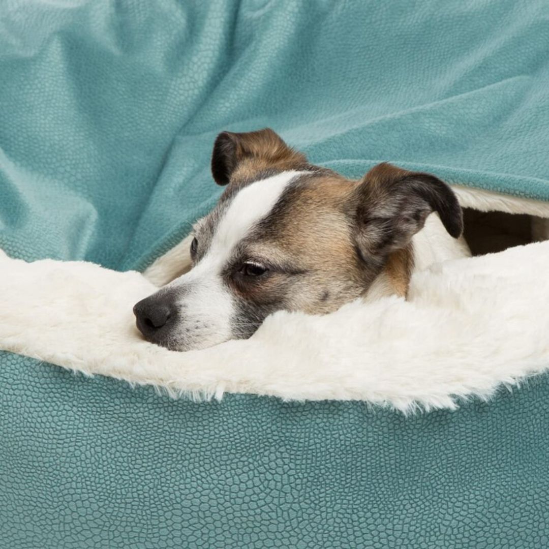 Cozy Pet Bed - Plush Dog Hut - Pexav