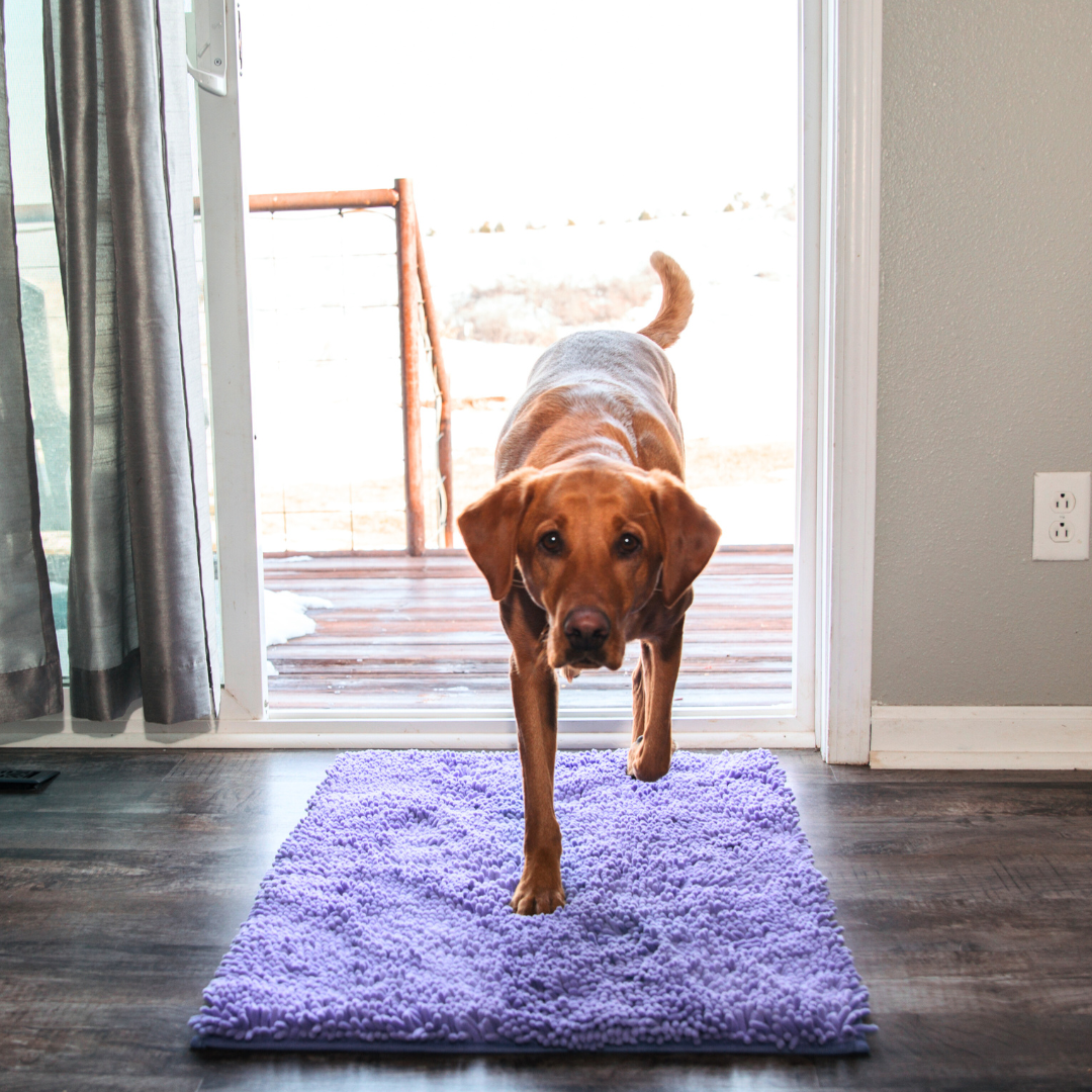 Dog Entrance Mat - Boris-Blue-S-Nora Luxe