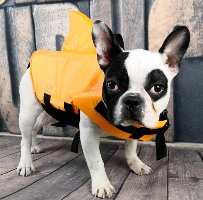 Dog Life Jacket - AquaPup-Blue-XS-Nora Luxe