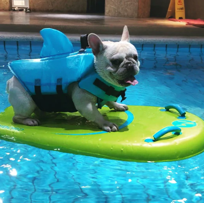 Dog Life Jacket - AquaPup-Blue-XS-Nora Luxe