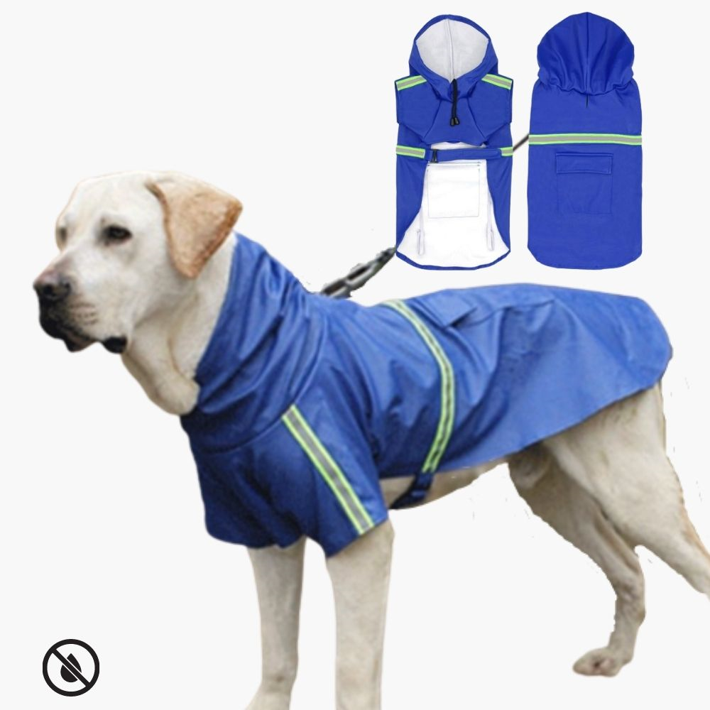 Dog Raincoat - RainGuard Pro-Blue-S-Nora Luxe