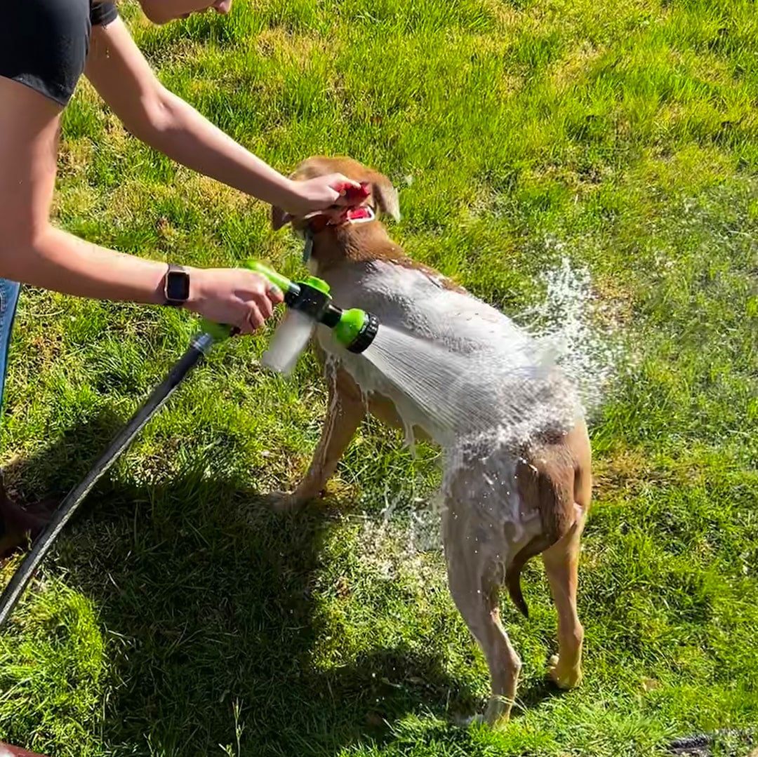 Dog Shower Sprayer - WashBuddy-Blue-Nora Luxe