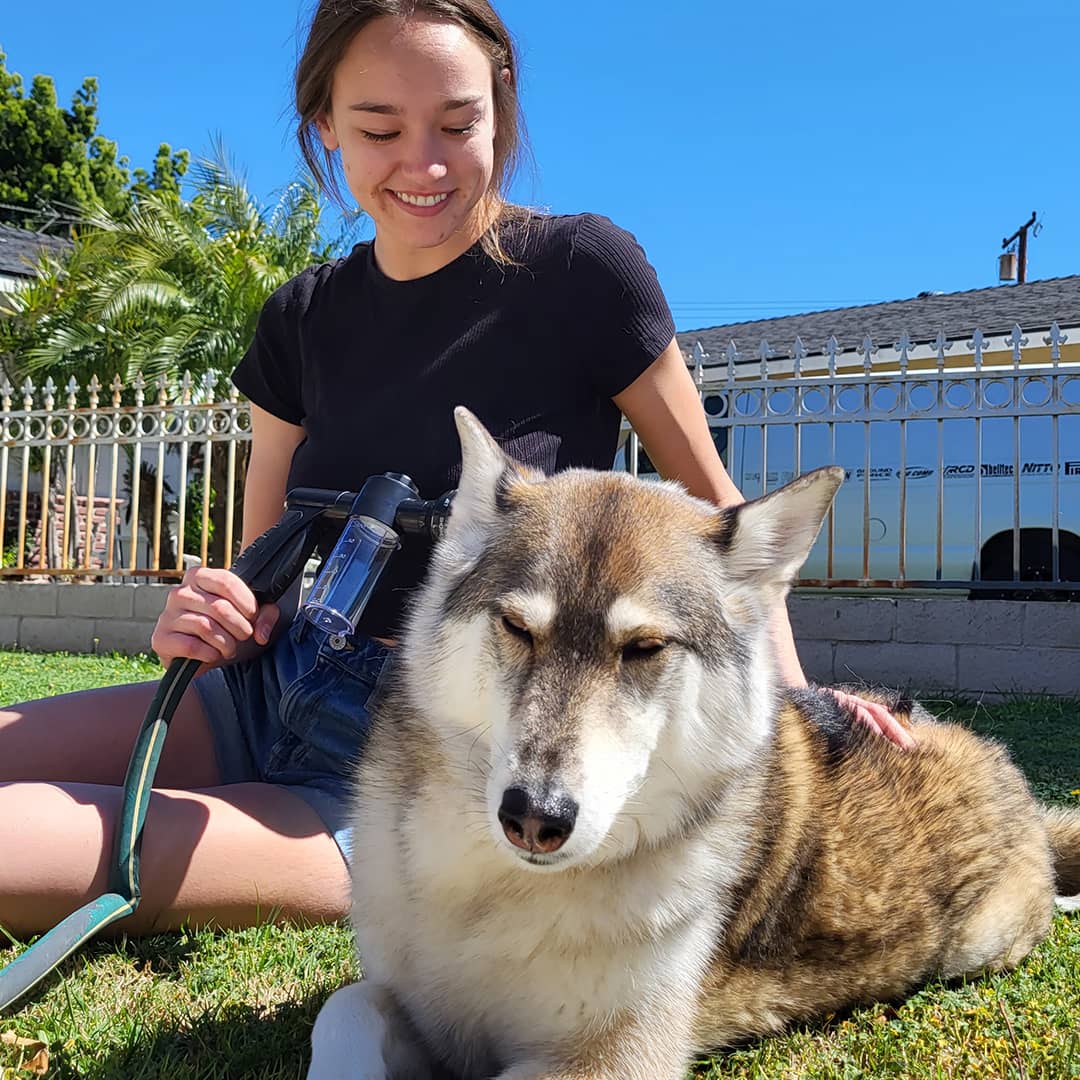 Dog Shower Sprayer - WashBuddy-Blue-Nora Luxe