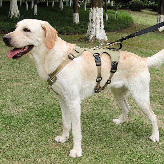 SafeWalk Padded - Reflective No-Pull Dog Vest with Control Handle - Pexav