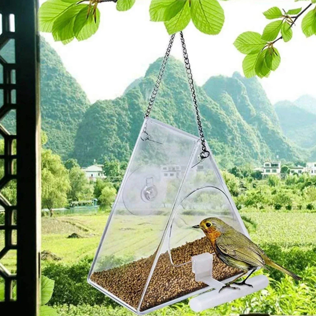 Transparent Outdoor Bird Feeder for Yard Decoration - Pexav