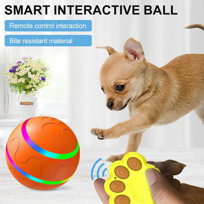 Fun Pet Rolling Ball Toy for Dogs and Cats