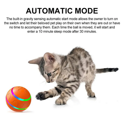 Fun Pet Rolling Ball Toy for Dogs and Cats
