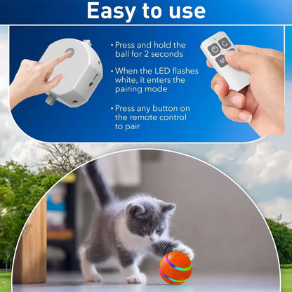 Fun Pet Rolling Ball Toy for Dogs and Cats