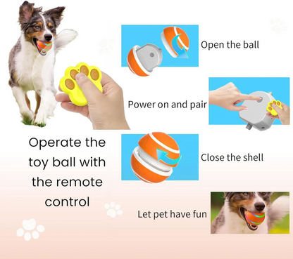 Fun Pet Rolling Ball Toy for Dogs and Cats