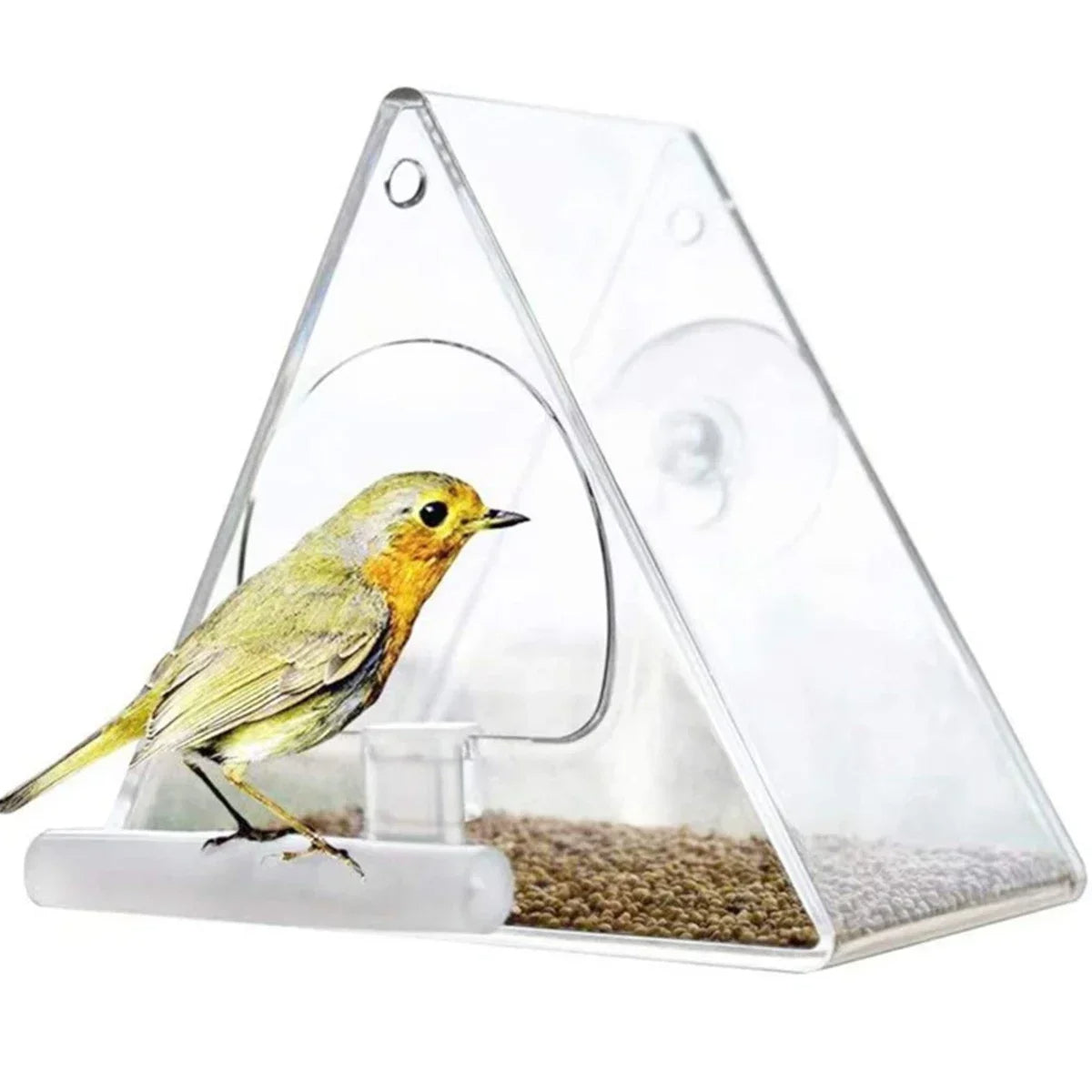 Transparent Outdoor Bird Feeder for Yard Decoration