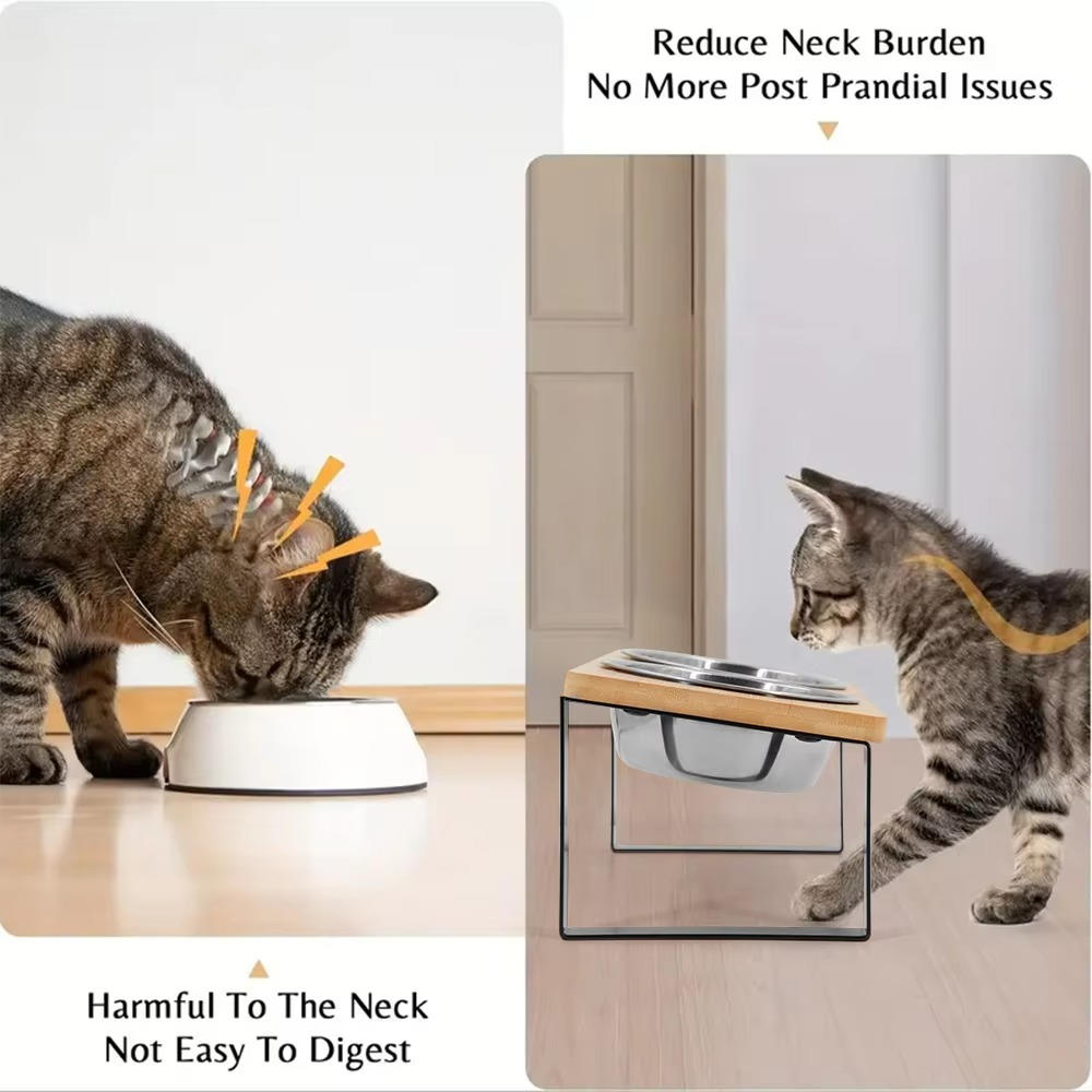 Raised Pet Food Dish