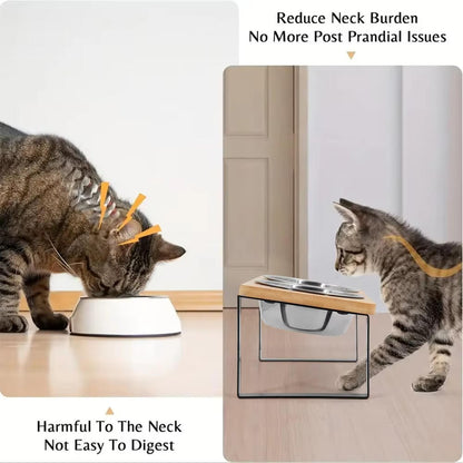 Raised Pet Food Dish