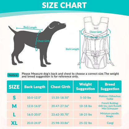 Pet Carrier Hiking Backpack