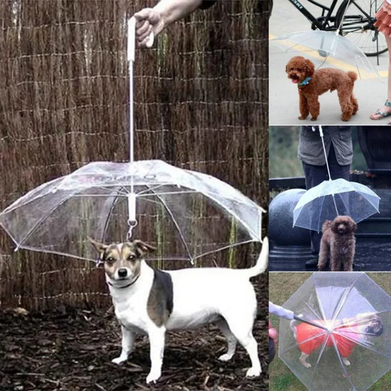 Pet Rain Umbrella with Handle - Pexav