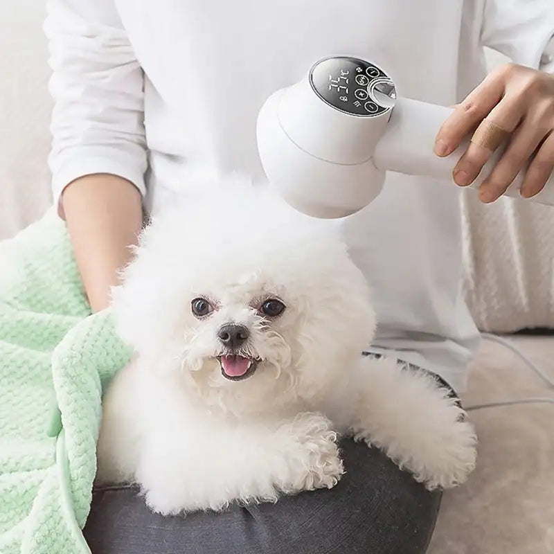 Dual Function Pet Grooming Dryer - Pexav