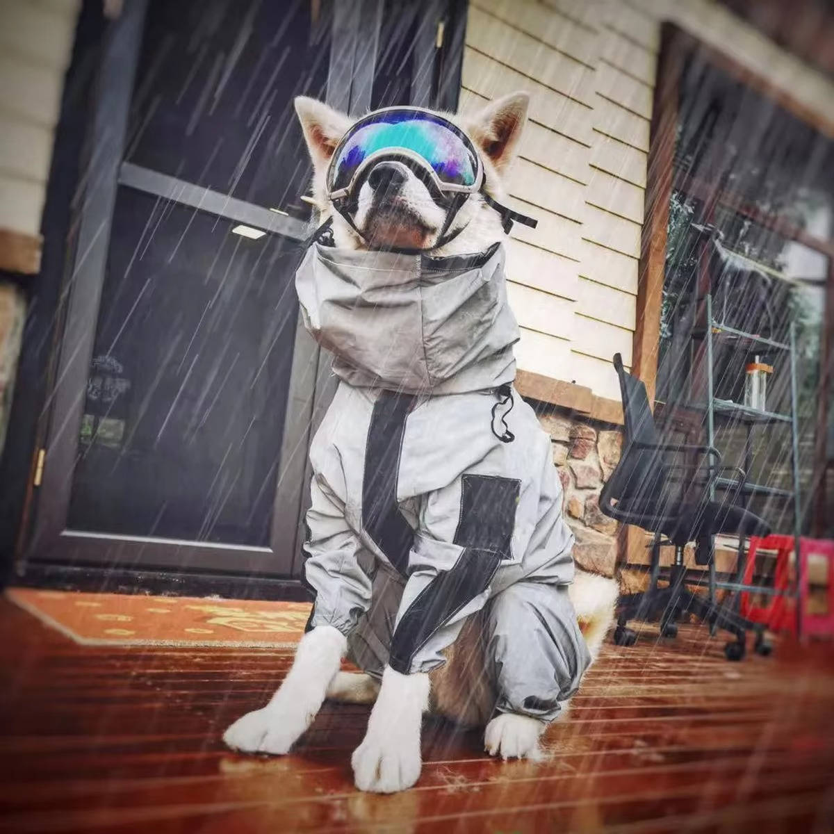 Water Resistant Pet Rain Jacket