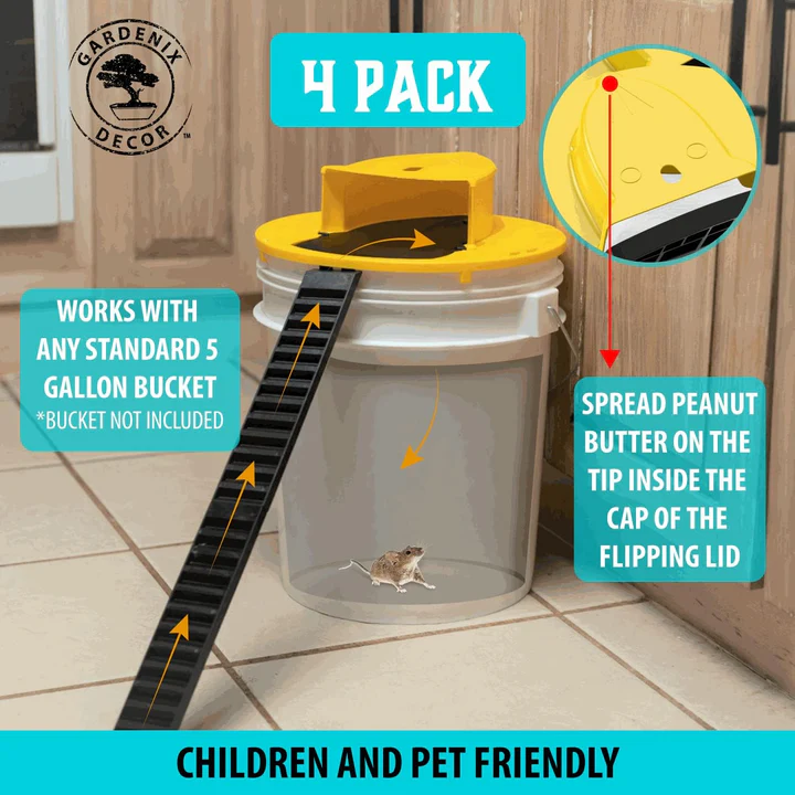 Set of 4 Reusable Humane Mouse Traps for Rodent Control