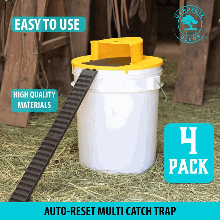Set of 4 Reusable Humane Mouse Traps for Rodent Control