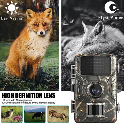 Wireless Motion Sensor Outdoor Camera